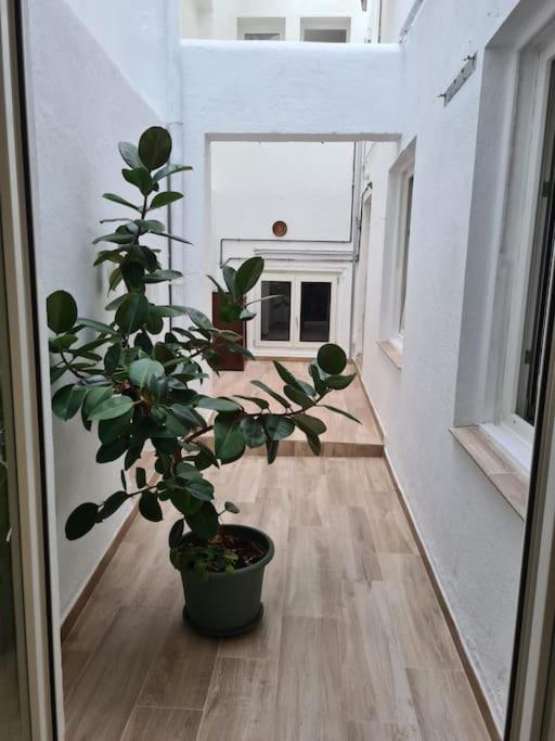 Apartamento Centrico Pontevedra Apartment Luaran gambar